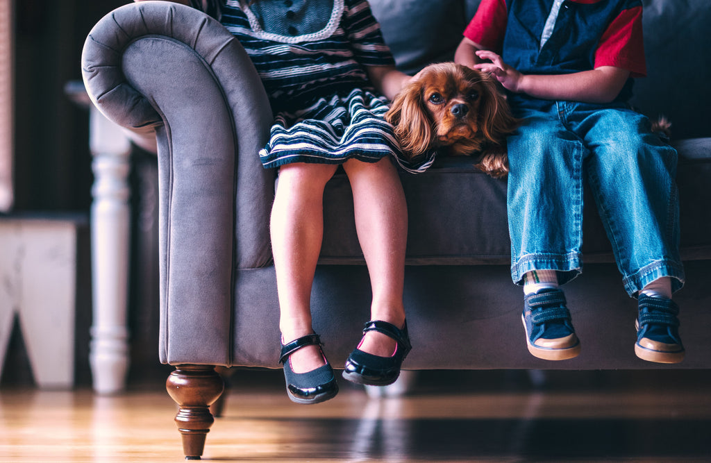 Cozy Up SALE--Sit back & relax with a FREE 5 year furniture protection plan