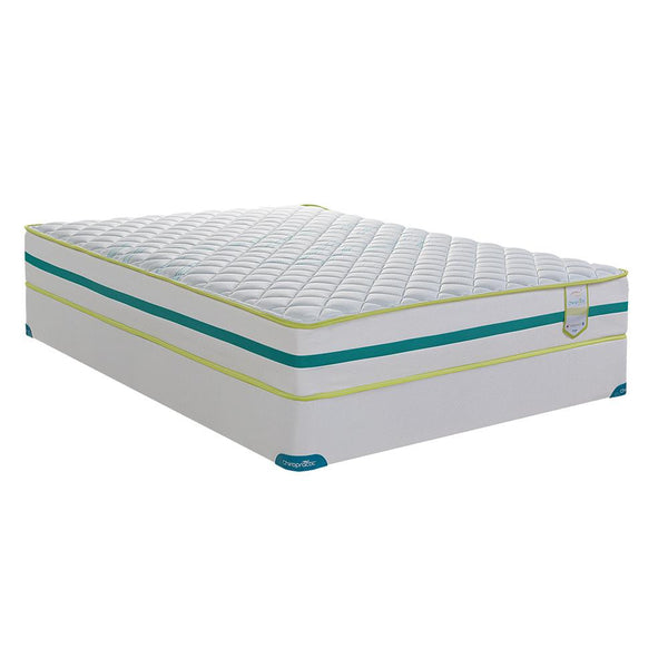 Springwall TT Foam Mattress in Queen or Double